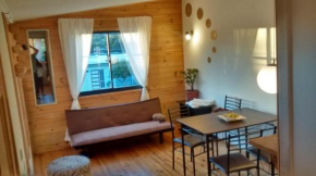 departamento valdivia